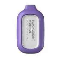 BLACKCURRANT MENTHOL - INSTABAR JAR 5000 - Absolute Vape