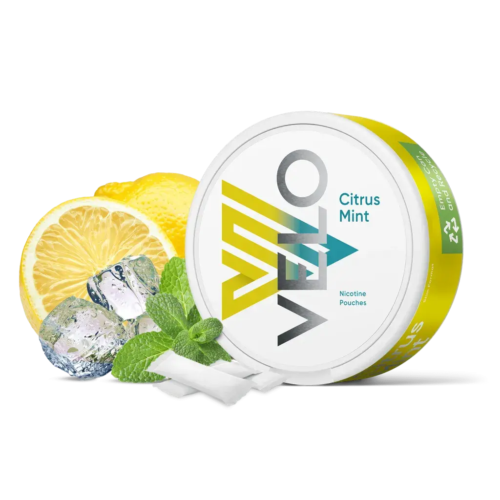 Citrus Mint Nicotine Pouches by Velo 10mg - Absolute Vape