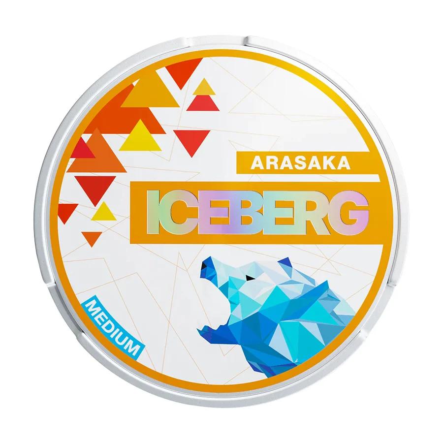 Iceberg_Medium_Arasaka65cc821c04d70