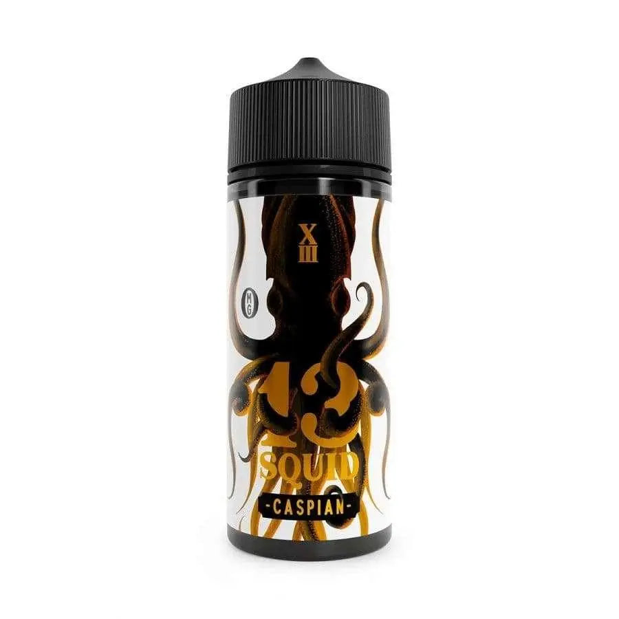 13-squid-caspian-100ml-46920-p
