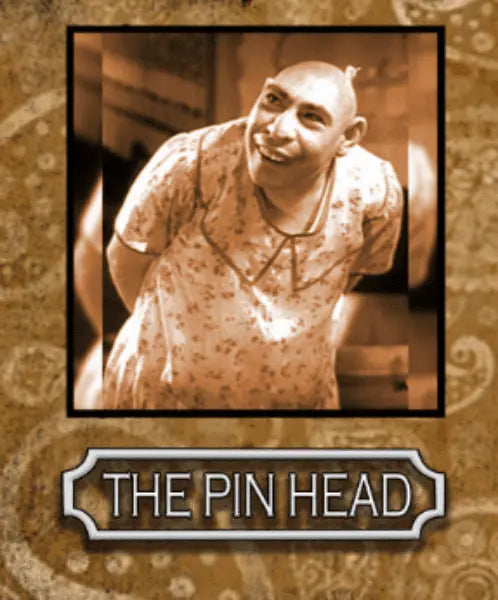 The Curiosities E Liquid - The Pin Head- 100ml - Absolute Vape