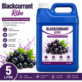 Blackcurrant Ribe DIY E-Liquid Flavour Concentrate 5L - Absolute Vape