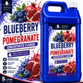 Blueberry Pomegranate DIY E-Liquid Flavour Concentrate 5L - Absolute Vape