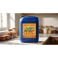 Mango Sorbet DIY E-Liquid Flavour Concentrate 5L - Absolute Vape