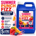 Summer Punch Fizz DIY E-Liquid Flavour Concentrate 5L - Absolute Vape